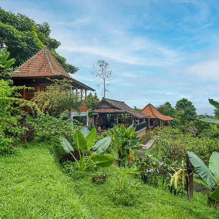 Jatiluwih Guava Eco Living By Manara